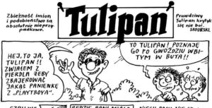 Tulipan serial rysunek humor Sadurski Jan Monczka