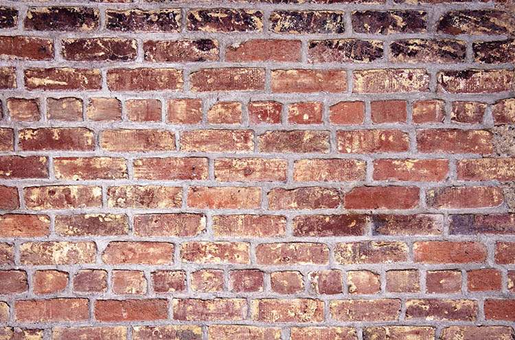 Płytki elewacyjne zewnętrzne. Styl i trwałość dla Twojego domu