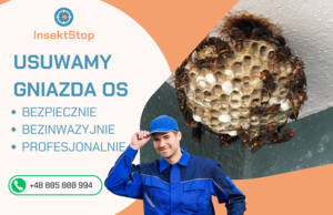 usuwanie gniazd os