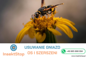 usuwanie gniazd os